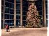 Merry Christmas Everyone