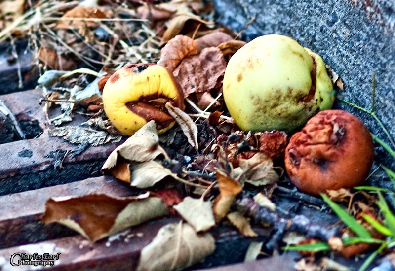 Hint of things to come