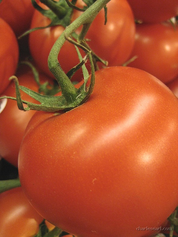 Tomatoes